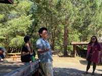 Artist in Residence Program