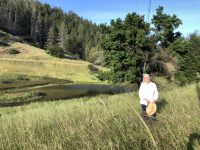 Artist in Residence Program